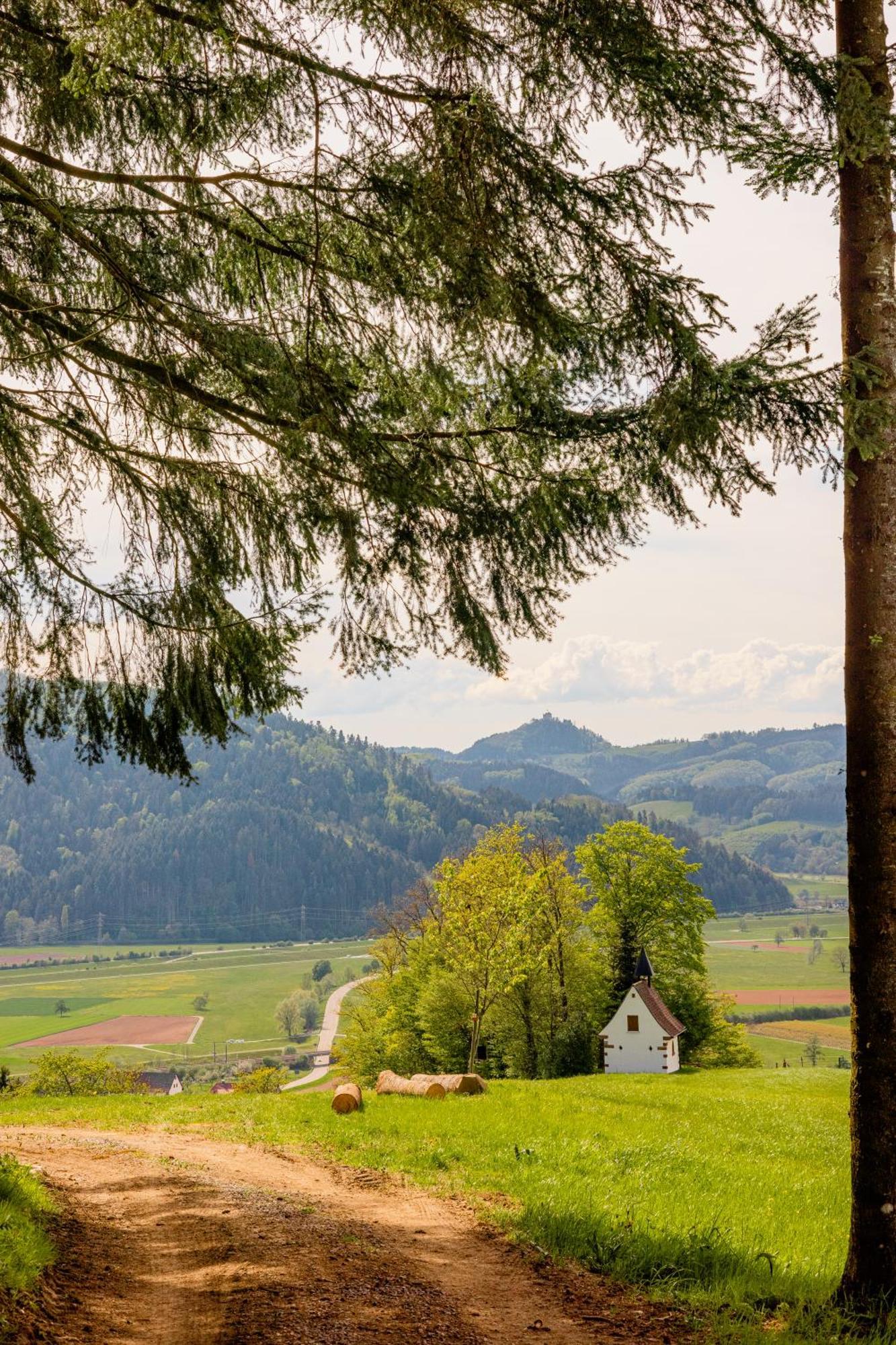 Landhotel Gasthaus Zum Pflug Целль-ам-Хармерсбах Экстерьер фото